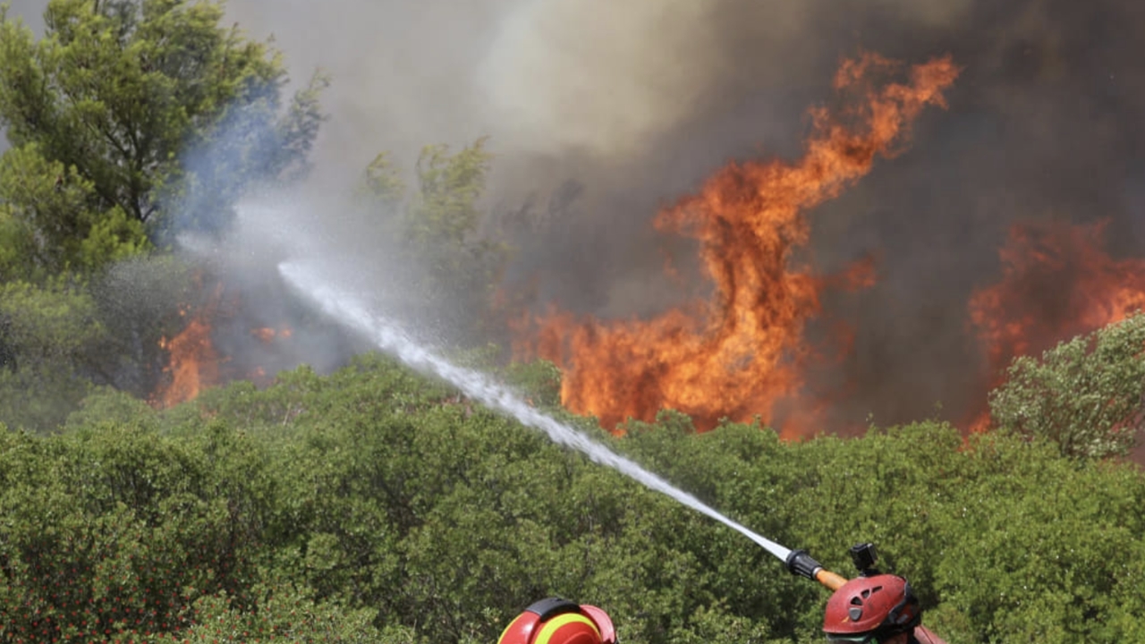 Πυρκαγιά σε δασική έκταση στη Λακωνία - Επιχειρούν 4 αεροσκάφη