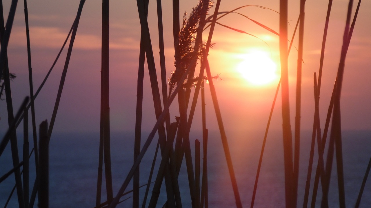 Ακραία υψηλές θερμοκρασίες καταγράφηκαν σε όλη τη χώρα τον Ιούνιο