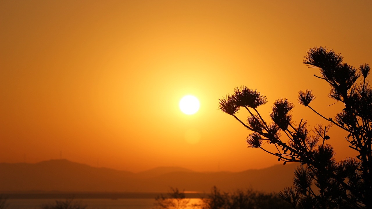Διατηρούνται οι πολύ υψηλές θερμοκρασίες στην χώρα έως και την...