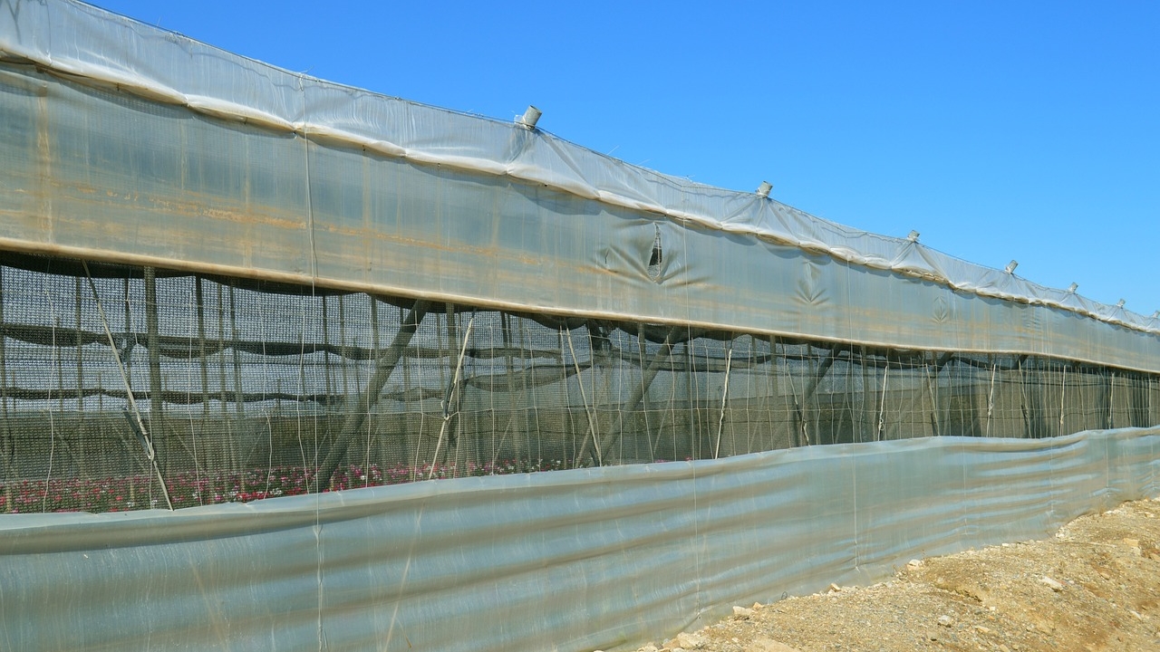 Η Πειραιώς στηρίζει τη θερμοκηπιακή γεωργία