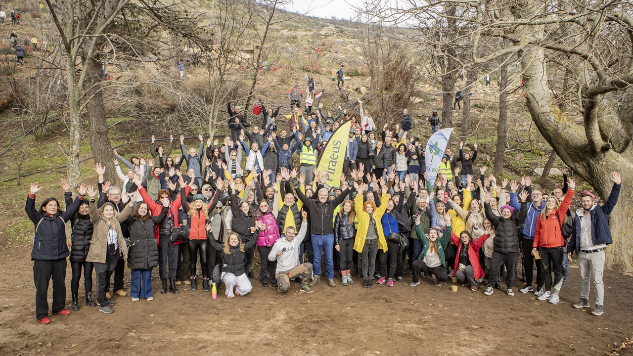 Δενδροφύτευση από εργαζομένους της Πειραιώς στην Πεντέλη