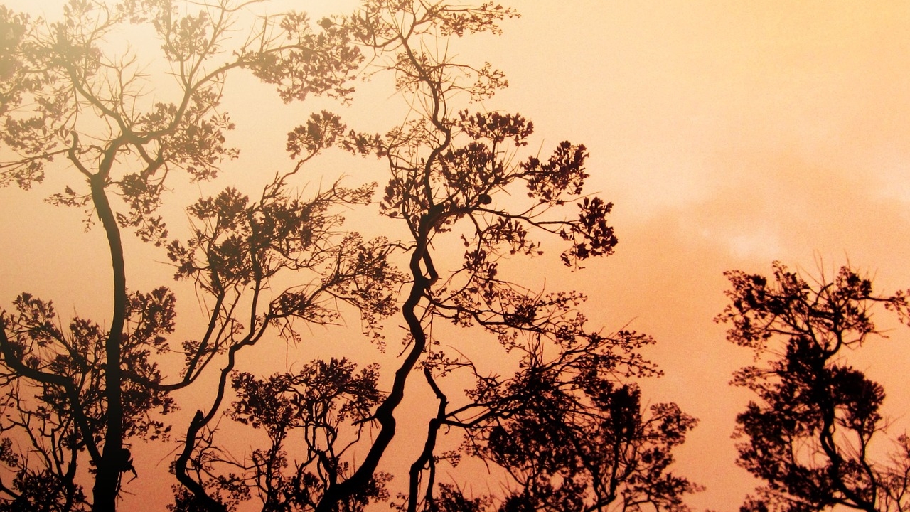 Πύρινη λαίλαπα στο Λος Άντζελες - Εικόνες απόλυτης καταστροφής,...