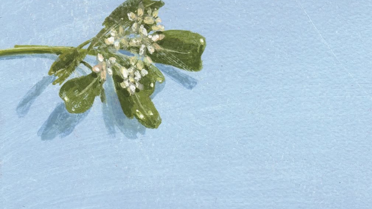 Φωτεινή Στεφανίδη: «Λάγνος Μάης…εν υπερακμή ρώμης και καλλονής...