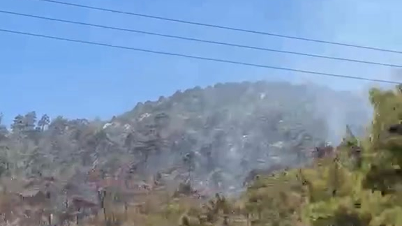 Σε ύφεση πλέον η φωτιά στη Θάσο σήμερα Πέμπτη 10 Ιουλίου.  Σε...