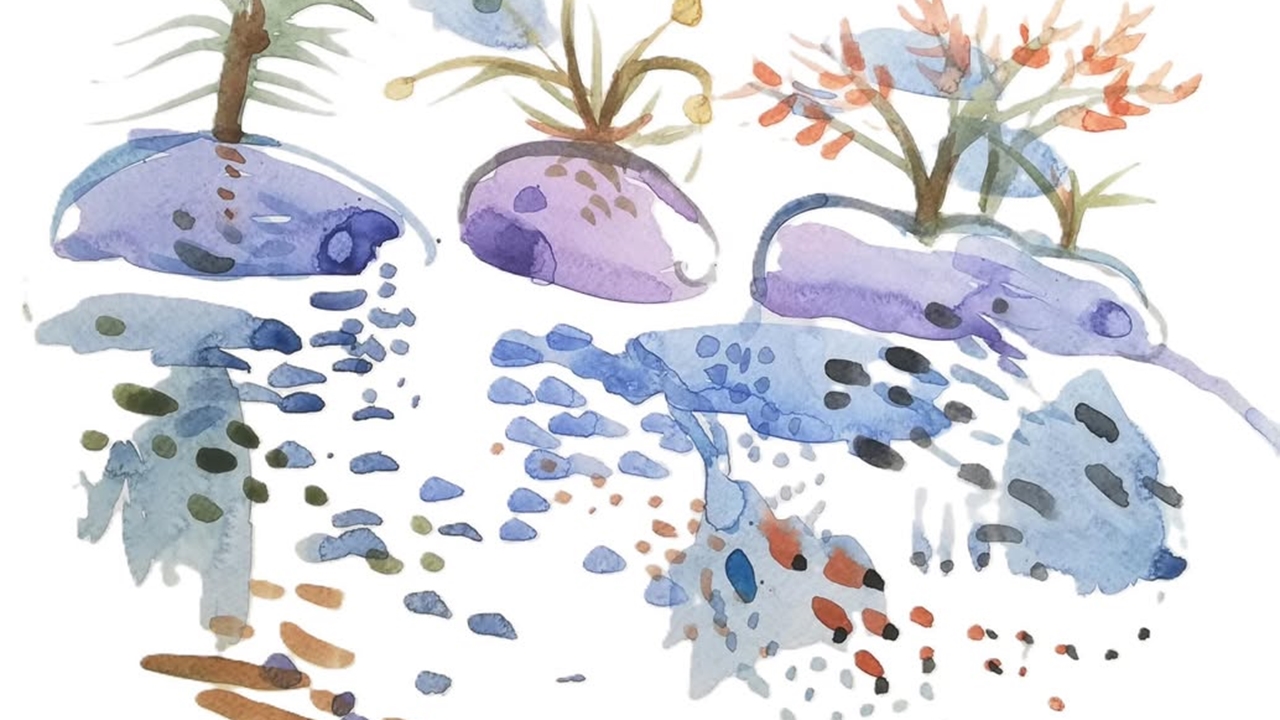 Φωτεινή  Στεφανίδη: «Φως μαλακτικό του Οκτώβρη του παχνιστή»...