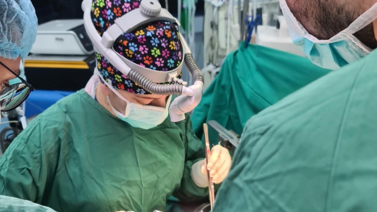 Η πρώτη μεταμόσχευση ήπατος από γυναίκα χειρουργό στην Ελλάδα...