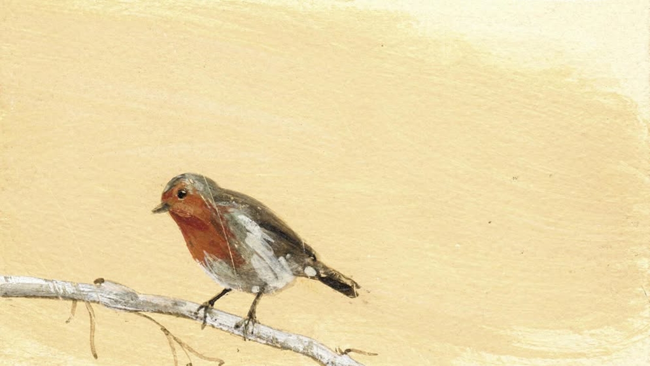 Φωτεινή Στεφανίδη: «Βαθυκόκκινος Νοέμβρης, των σιωπηλών απολογισμών»...