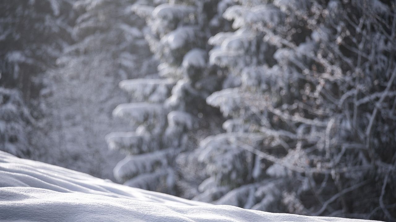 Η κακοκαιρία «ντύνει» τη χώρα στα λευκά – Πυκνές χιονοπτώσεις...