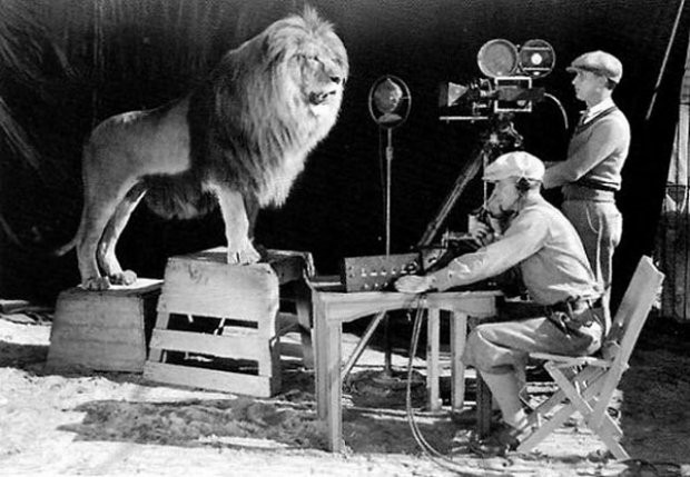 These 60 Rare Photos Will Destroy Everything You Knew About The...