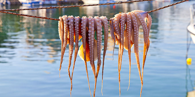 Γευόμαστε Ελλάδα στην 