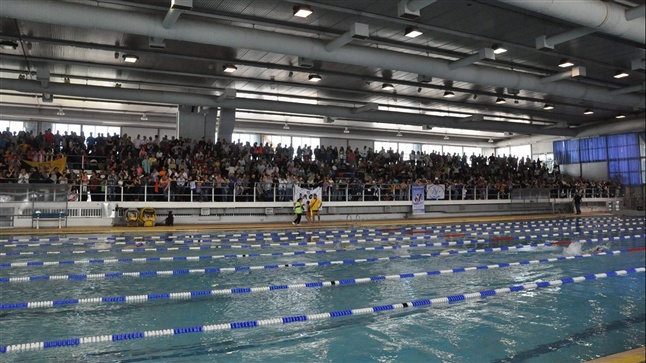 Swimmer's Celebrations