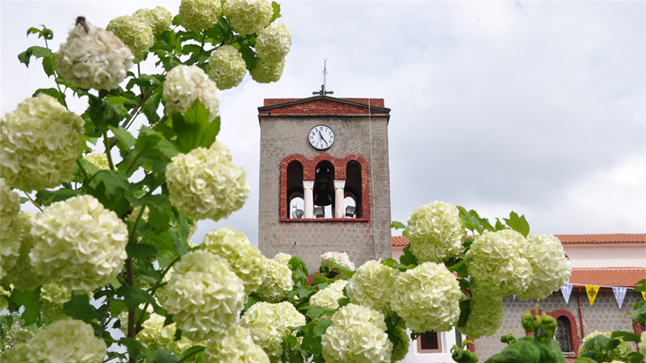 100 Χρόνια από την ίδρυση του Ασκού Θεσσαλονίκης